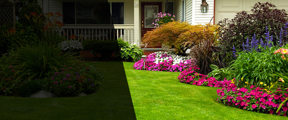Lascassas Landscapers