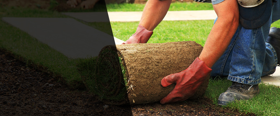 Lascassas Landscapers